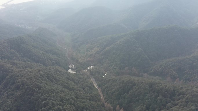 航拍晨雾里杭州西湖龙井茶园