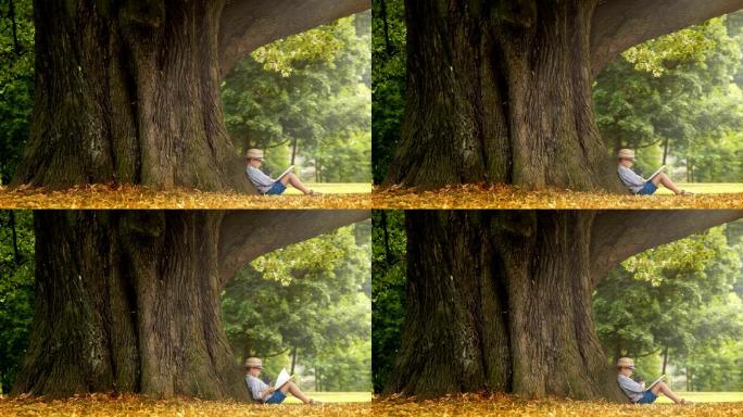男孩坐在大树下看书