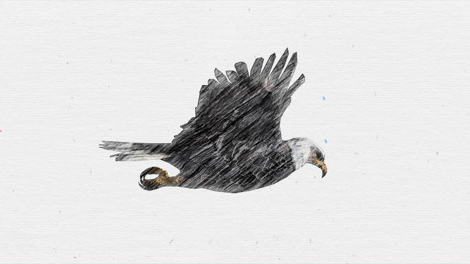 动画木炭铅笔画的鹰