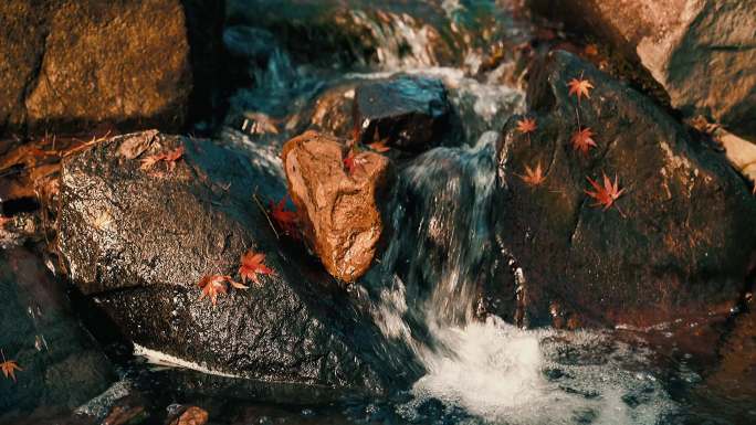 秋日红色枫叶山涧小溪流水