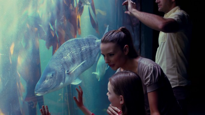 幸福的一家人在水族馆看鱼