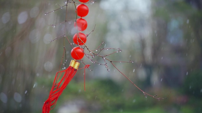 下雪天枝头上的小红灯笼