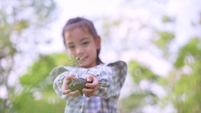 手捧幼苗的小女孩植树节种树栽种