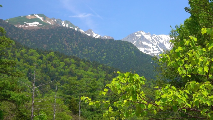 长野上町森林公园生态保护山坡山脉