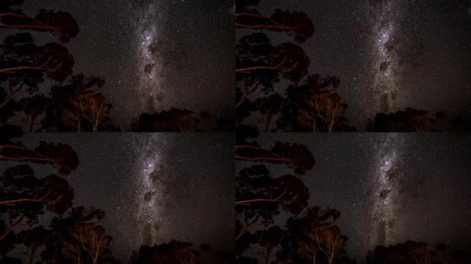 澳大利亚树木上方银河旋转