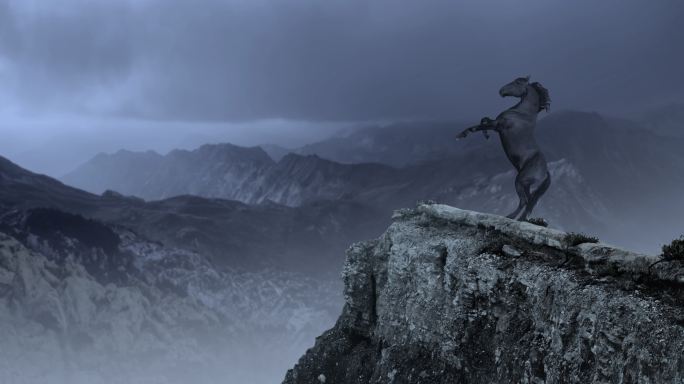 悬崖上雄伟的黑马马儿马匹勒马奔腾