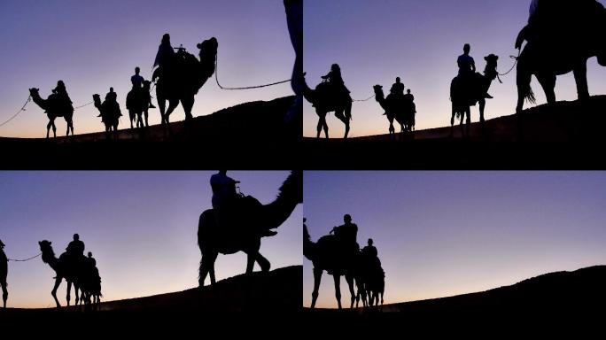 带着骆驼在撒哈拉沙漠旅游