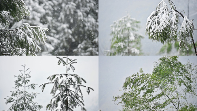 寒潮来袭气温变化风雪交加雪花漫天