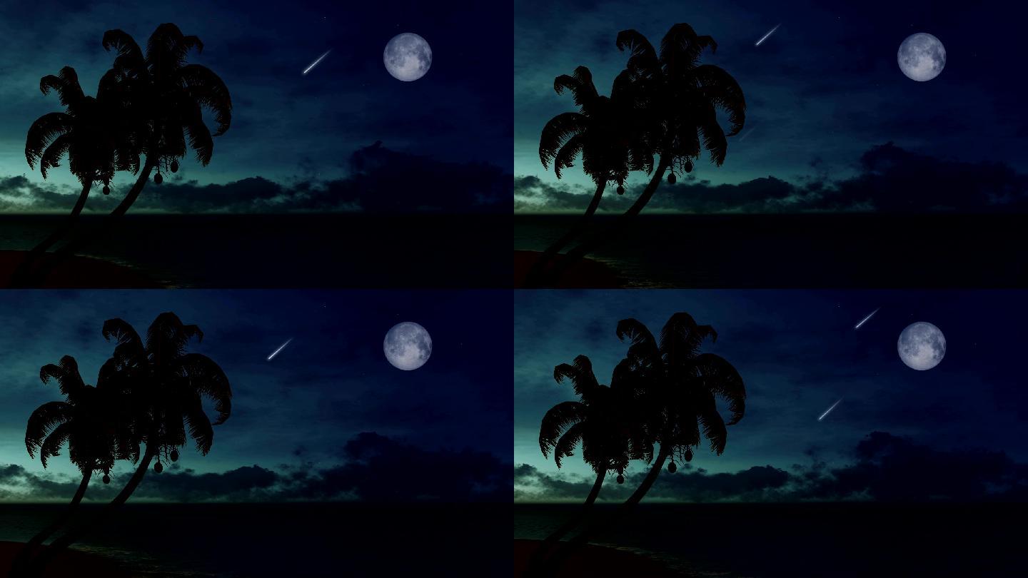 热带海滩的夜空棕榈树浪漫