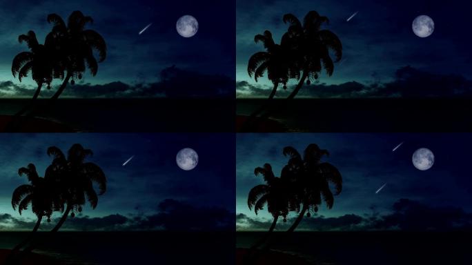 热带海滩的夜空棕榈树浪漫