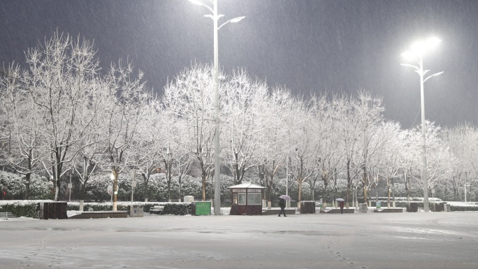 武汉大雪首义广场下雪场景8K原视频素材
