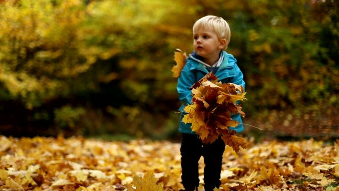 森林里的小男孩秋季秋意浓小孩