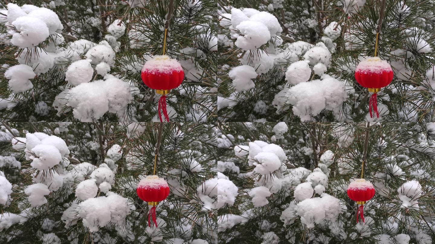 雪景 冬天 美丽的风景 红灯笼 喜庆