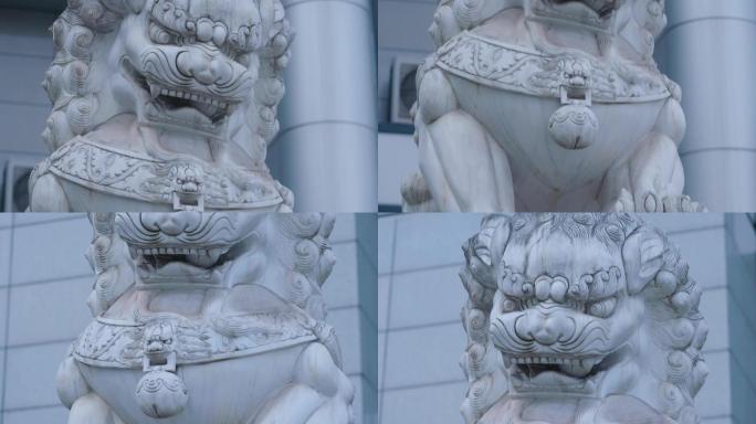 大楼门前石狮子雕塑特写镜头