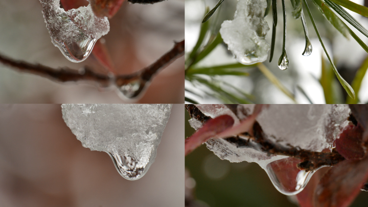 冰雪融化 积雪消融 化雪滴水