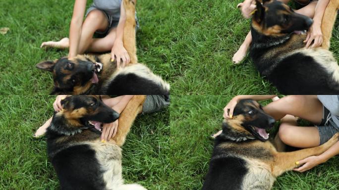 女人和她的狗德国牧羊犬在后院玩耍