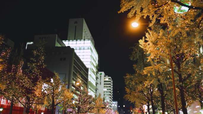 街道上的圣诞灯饰圣诞夜街景城市亮化美化街