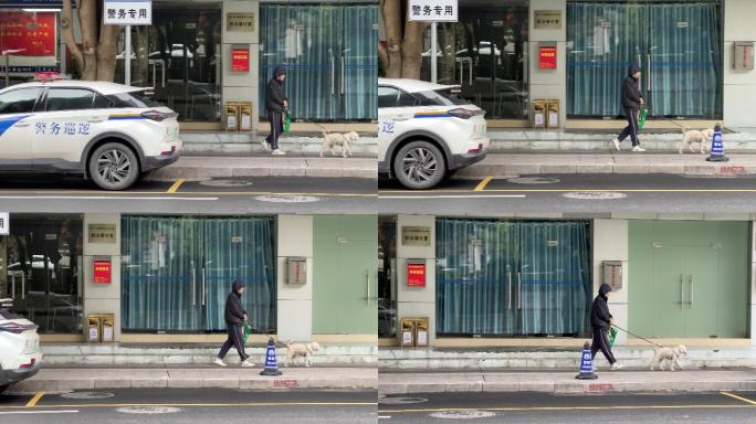 一个男人在人行道上遛狗