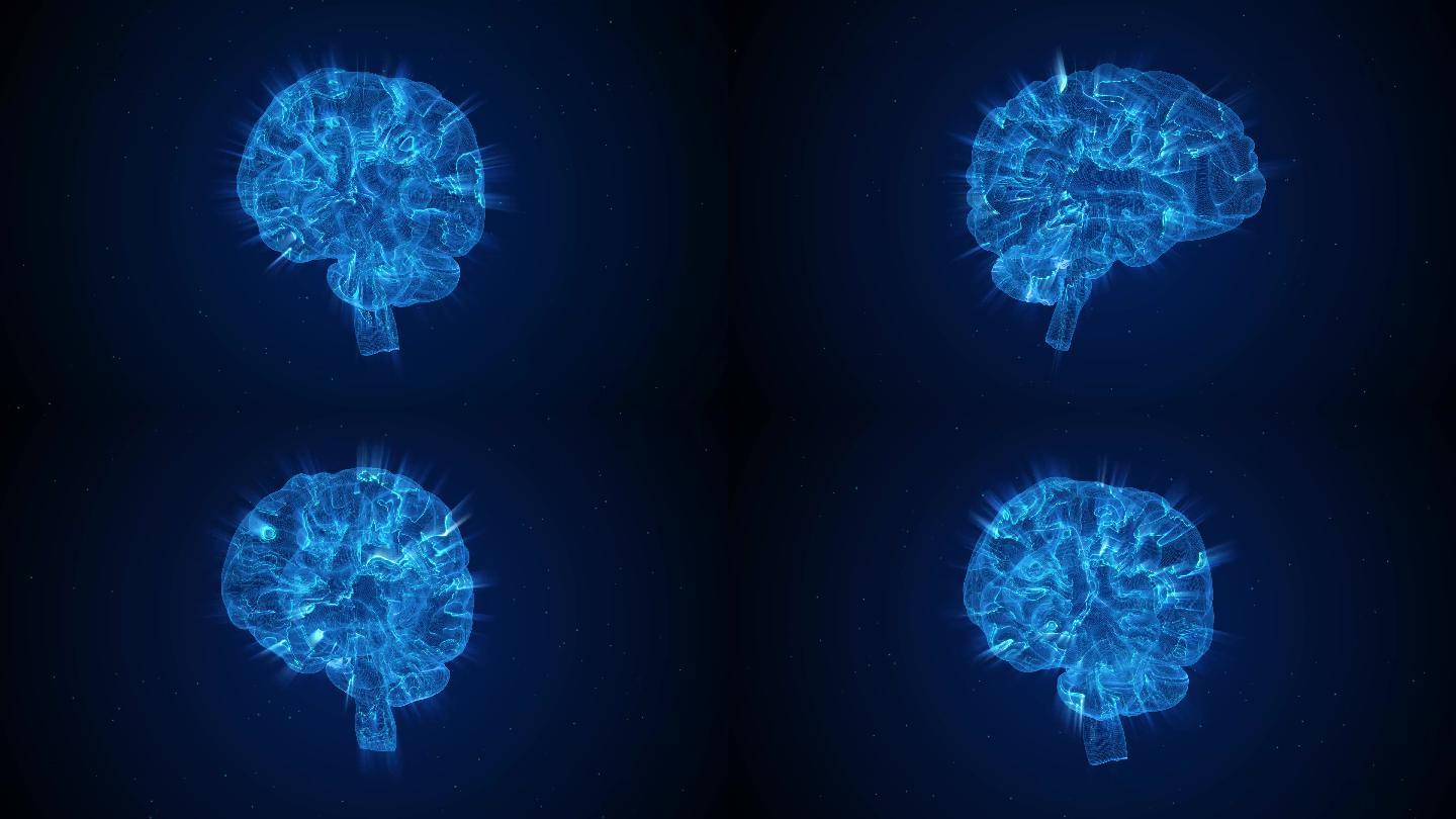 人脑三维透视动画旋转模型神经信息传递