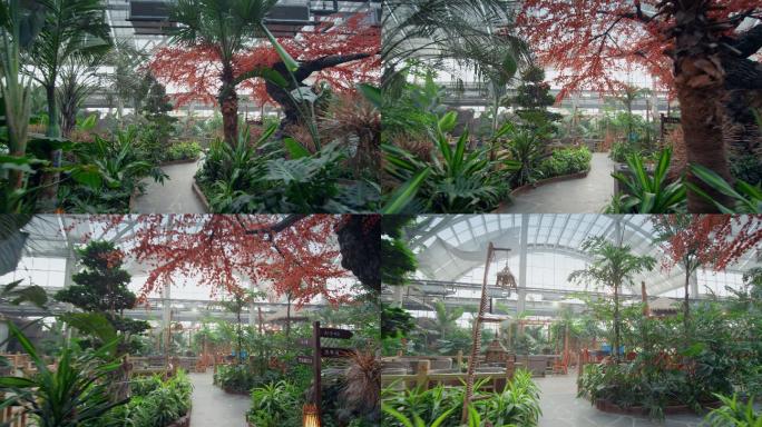 温室植物园游览