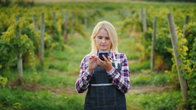 女农民在葡萄园的背景下使用智能手机
