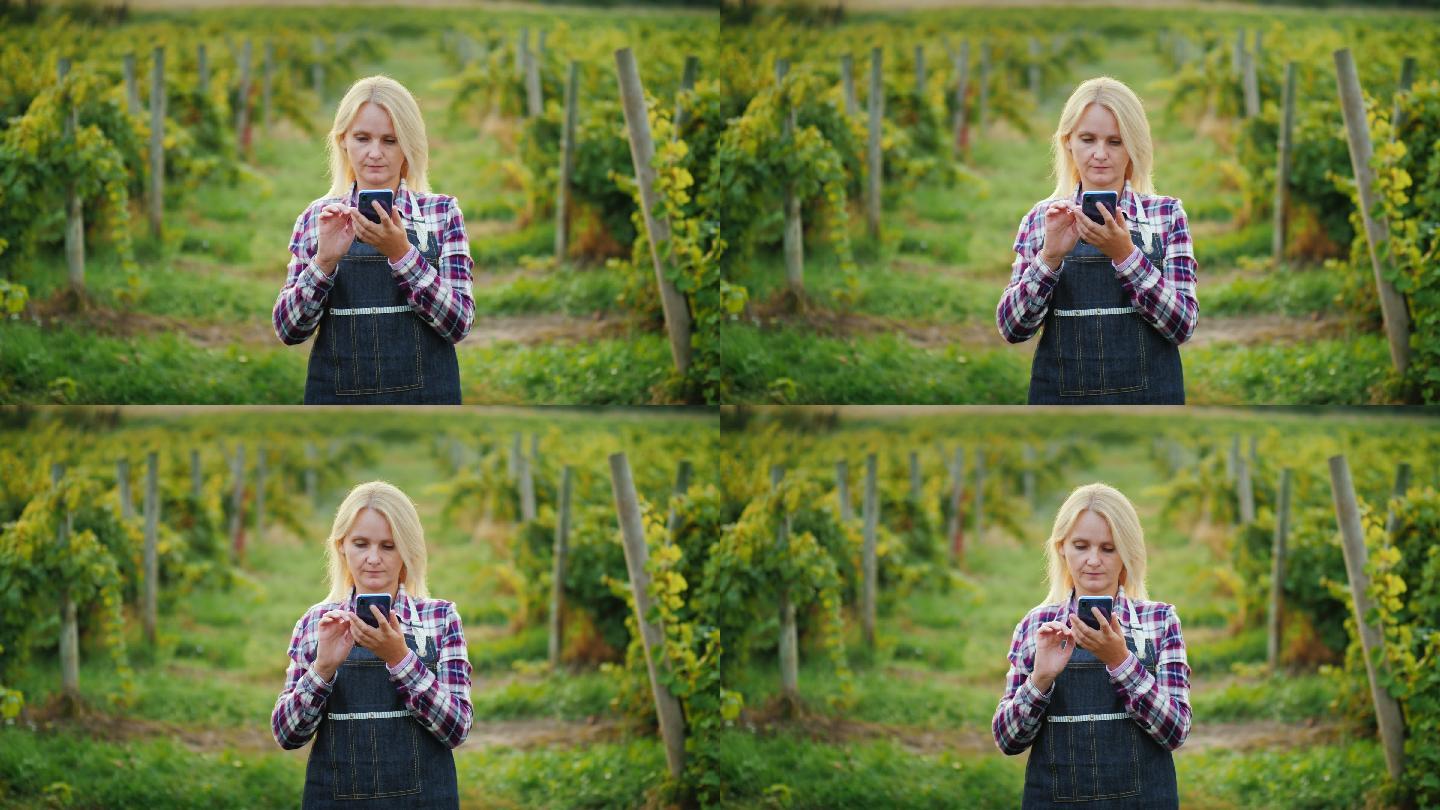 女农民在葡萄园的背景下使用智能手机