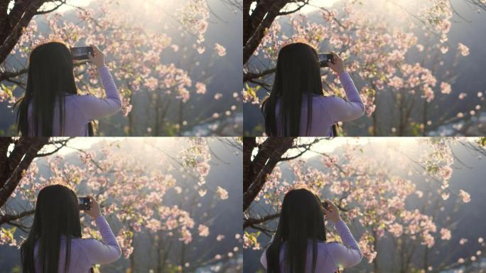 女游客用智能手机拍照欣赏樱花