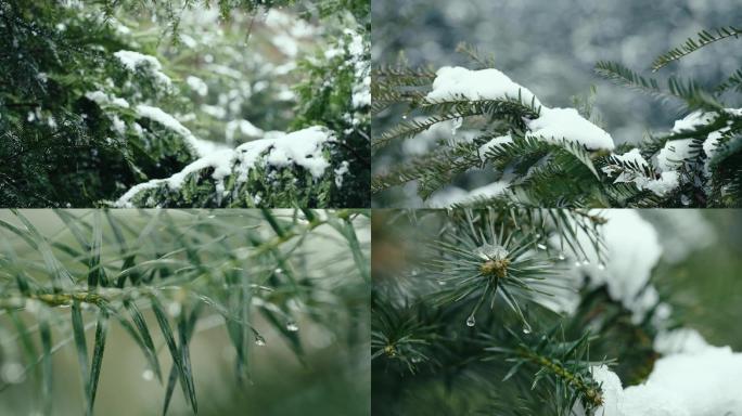 下雪 冬天 寒冷 雪天