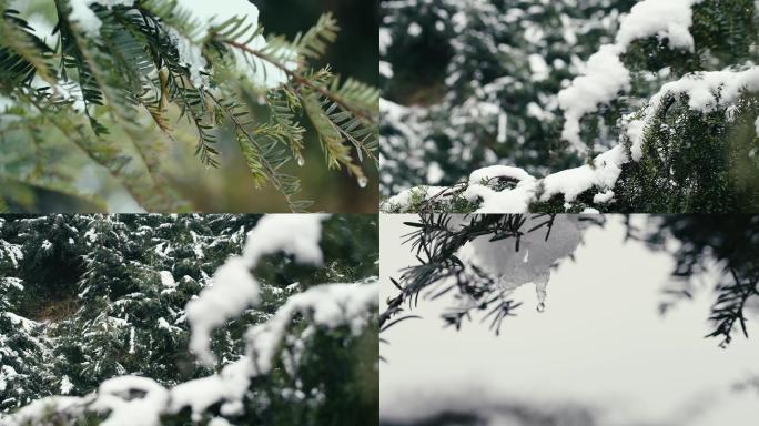 雪花 冰雪融化 鹅毛大雪