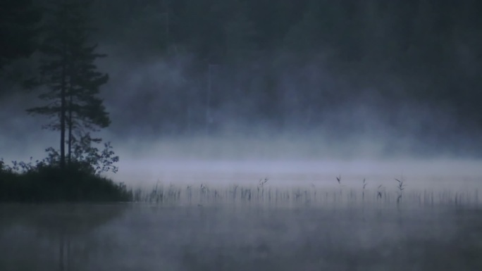 芬兰的荒野湖清晨湖面雾水意境唯美