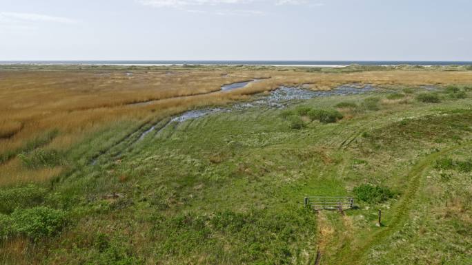 沿海盐沼野外草地平原绿地