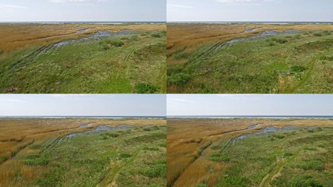 沿海盐沼野外草地平原绿地