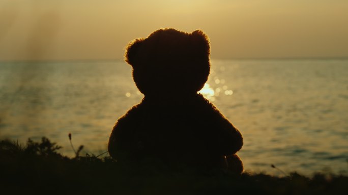 泰迪熊的剪影