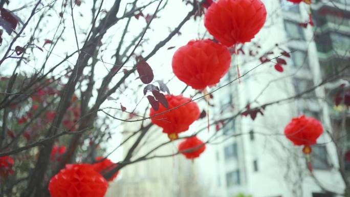 高档社区张灯结彩迎新年