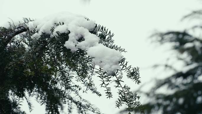 冰雪融化