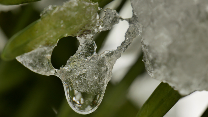 冰雪消融 冰雪融化