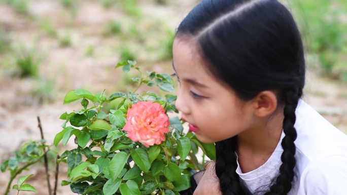 小女孩吻闻鲜花