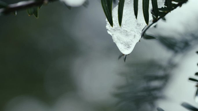 冰雪融化 水滴 滴水 冰水