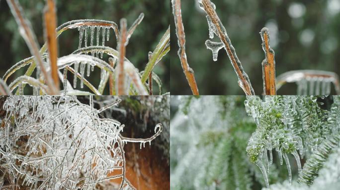 结冰雪花 形状 低温冻结 霜  水晶冰