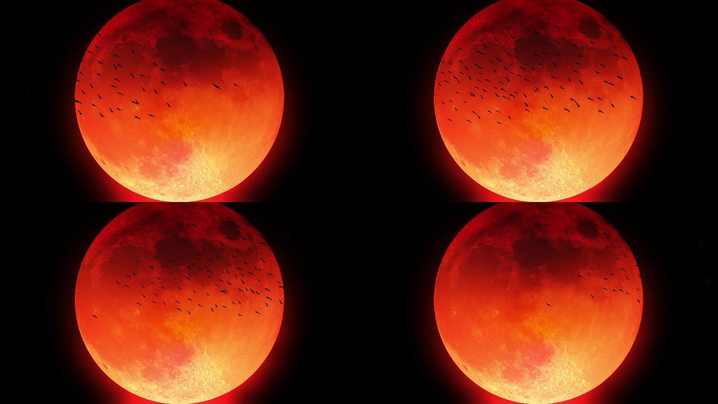 一群鸟在血红色的月亮前飞翔的剪影