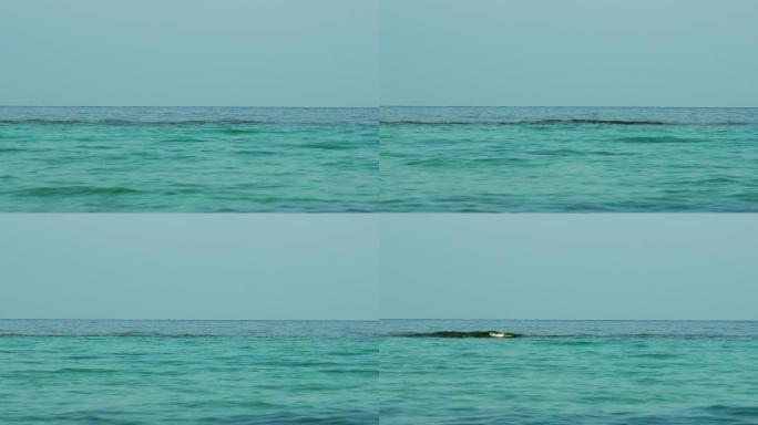 碧绿的水面海面海水波浪
