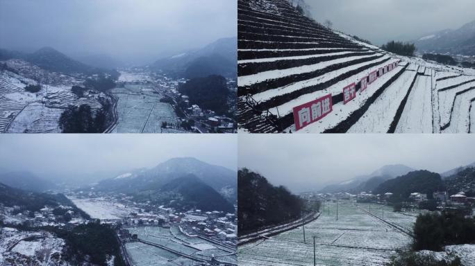 中泰梯田雪景