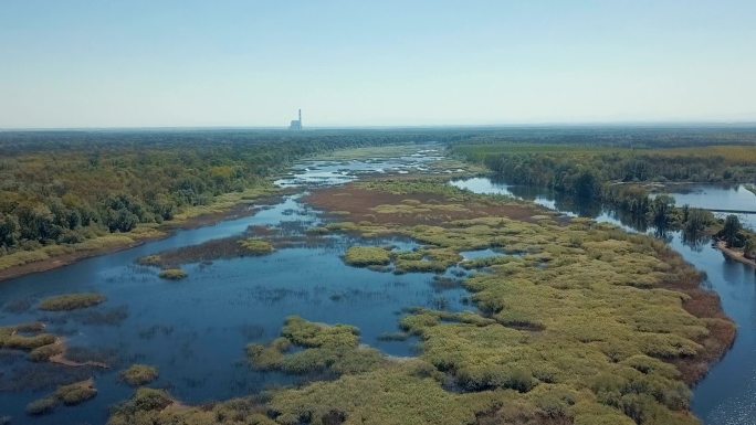 春季湖泊鸟瞰图湿地公园野外植被沼泽地