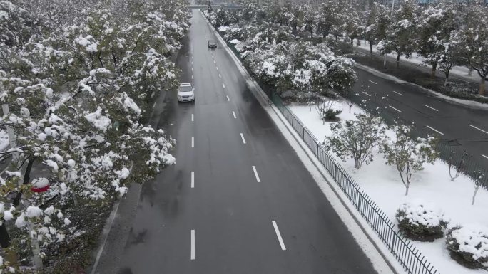 合肥天鹅湖初雪