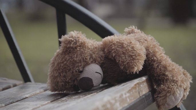 城市公园木凳上的泰迪熊