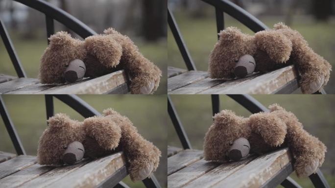 城市公园木凳上的泰迪熊