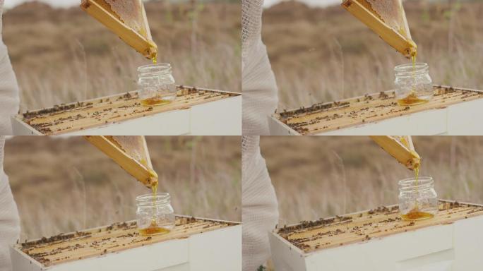 新鲜的蜂蜜最甜采蜜蜂王浆纯天然绿色生态