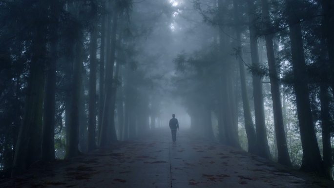走在雾里的人神秘气氛阴森鬼魅暗黑森林