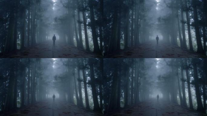 走在雾里的人神秘气氛阴森鬼魅暗黑森林