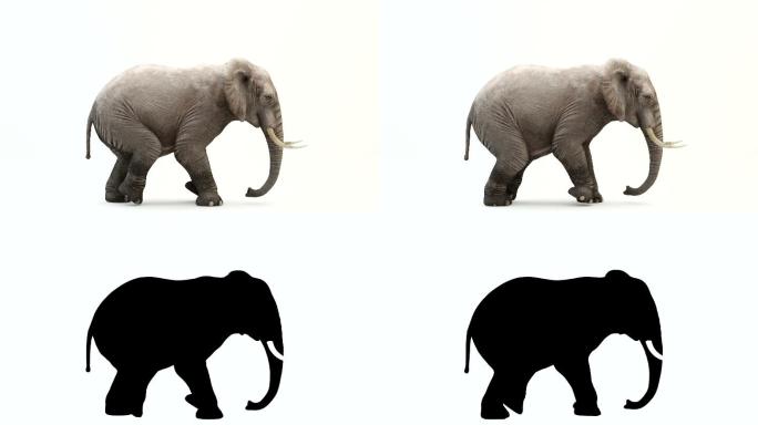 CG渲染行走的大象